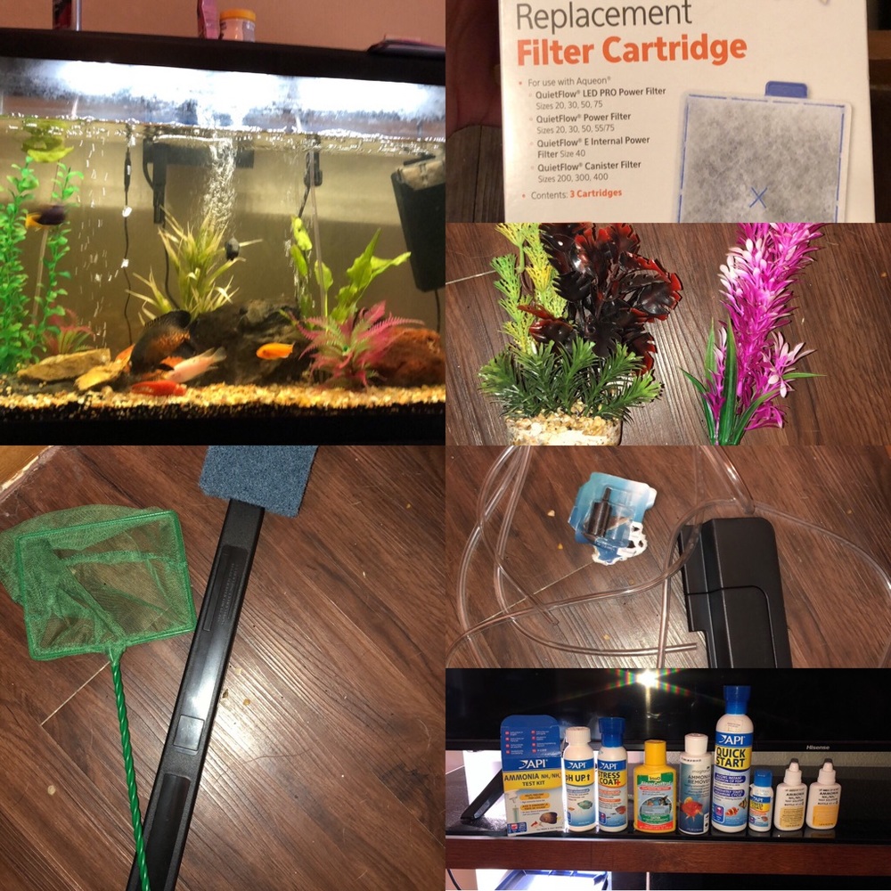 Fish tank
